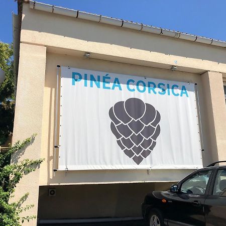 Ferienwohnung Duplex Renove Les Pieds Dans L'Eau Calvi  Exterior foto