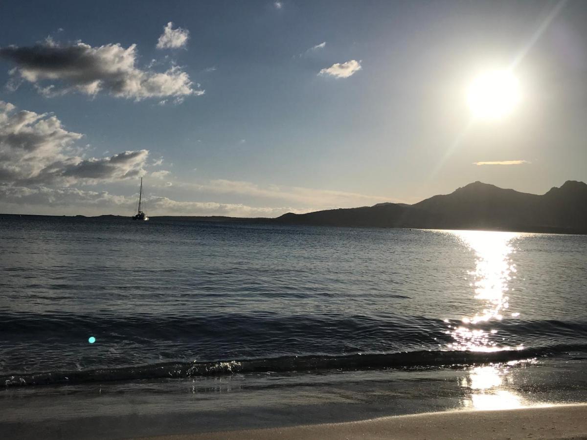 Ferienwohnung Duplex Renove Les Pieds Dans L'Eau Calvi  Exterior foto